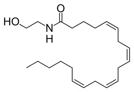 Endocannabinoids